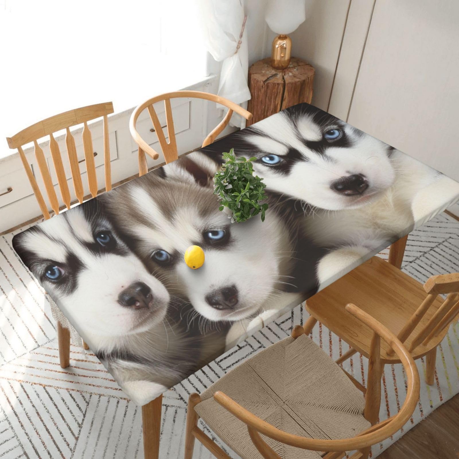 WPKJU Husky Puppies Dogs Printed Tablecloths 5ft Rectangular Table Covers Washable Polyester Decorative Table Cloth for Dining Table Picnic Wedding
