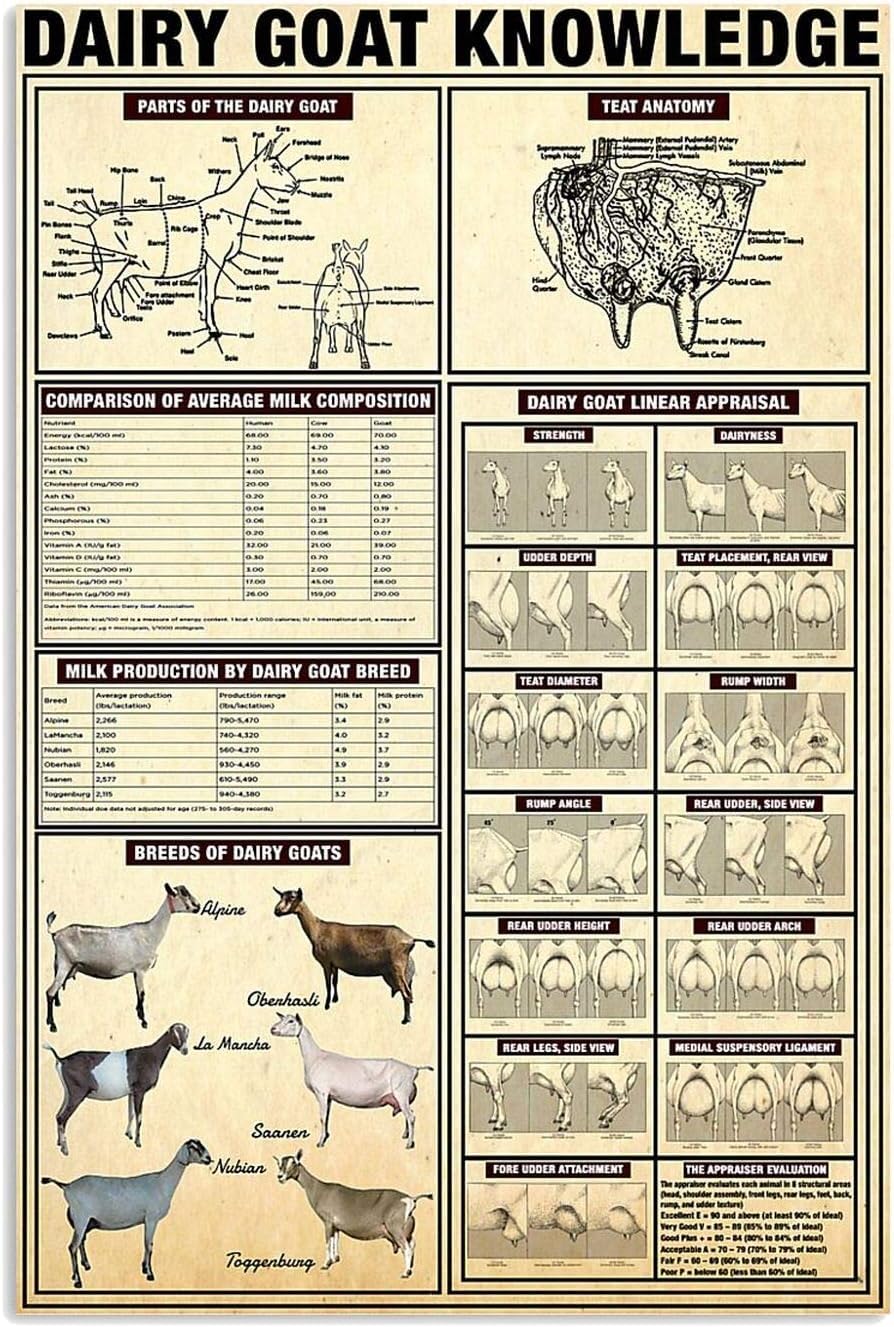 rayprint Vintage Dairy Goat Knowledge Canvas Wall Art Breeds Of Dairy Goats Frameless Posters Herders Study Guide Painting Prints For Farmhouse Room Farm Wall Decor 8x12inch