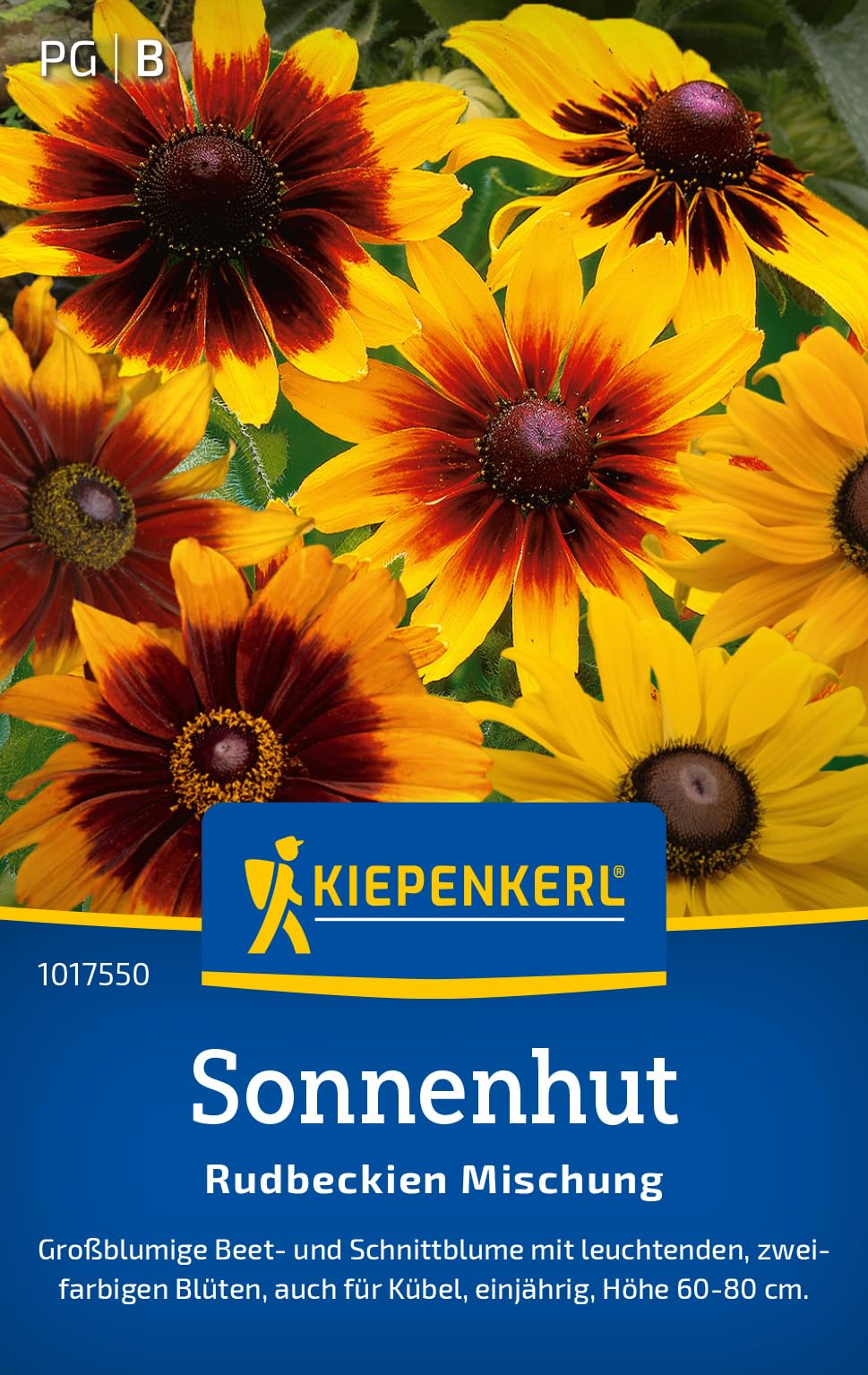 Kiepenkerl Sonnenhutsamen Rudbeckien Mischung 1017550 - Großblumig - zweifarbig - Beet- und Schnittblume - einjährig - 60-80cm - Saatgut, Blumensamen