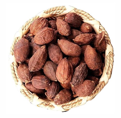 _쑐 XpCX ӂ L i h ؉Γ Eݑ _Y  XpCXZbg  O_Ai100gj