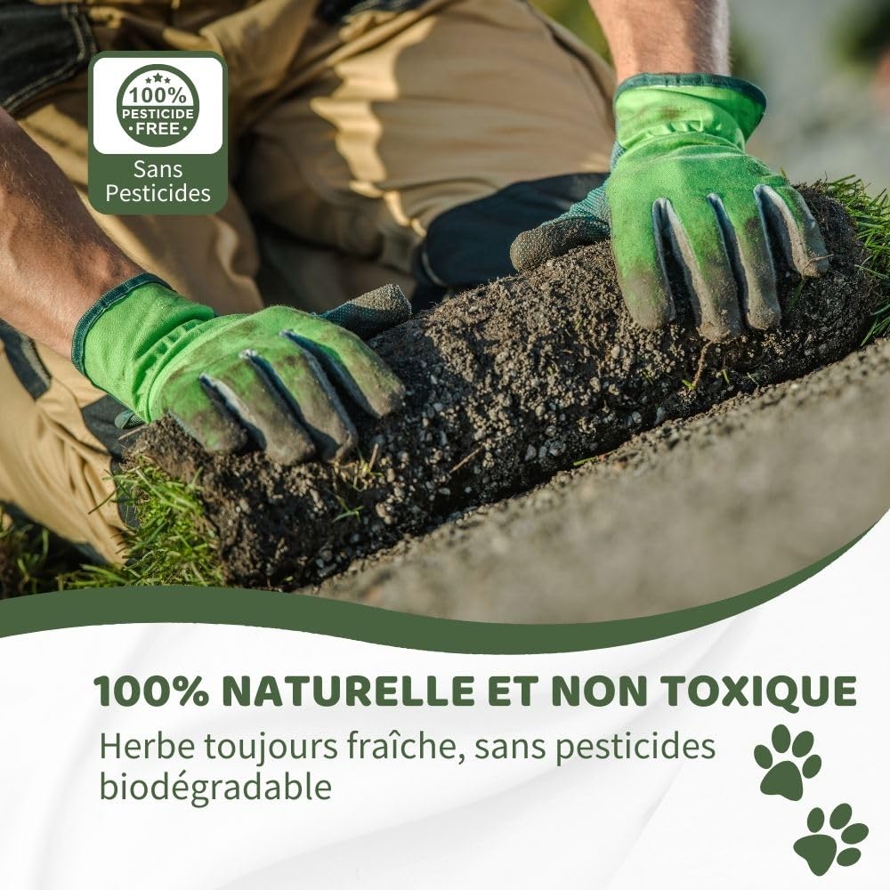 Petzolla Bac à litière écologique de vrai gazon original