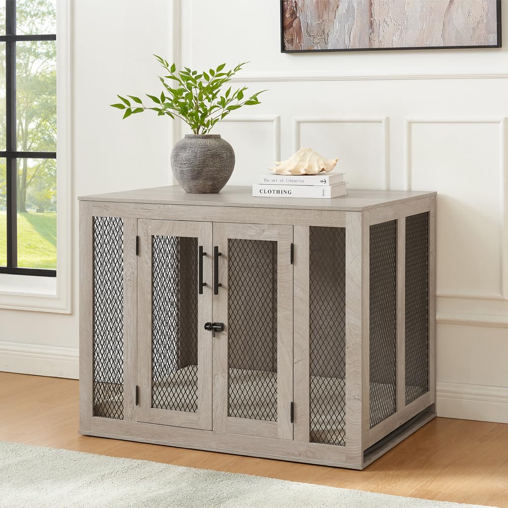 https://m.media-amazon.com/images/I/71u7ZAN+pKL.jpg