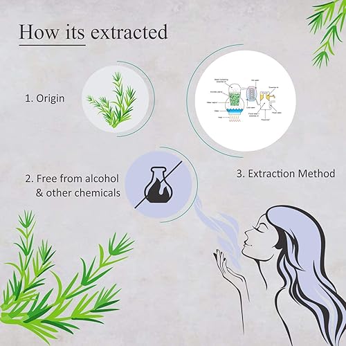 Miniatura 8 de Bergamota Aceite Esencial Aroma Natural 4 onzas