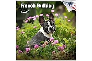 2023 2024 Frenchie Calendar: The Pawfect Gift for Bulldog Lovers