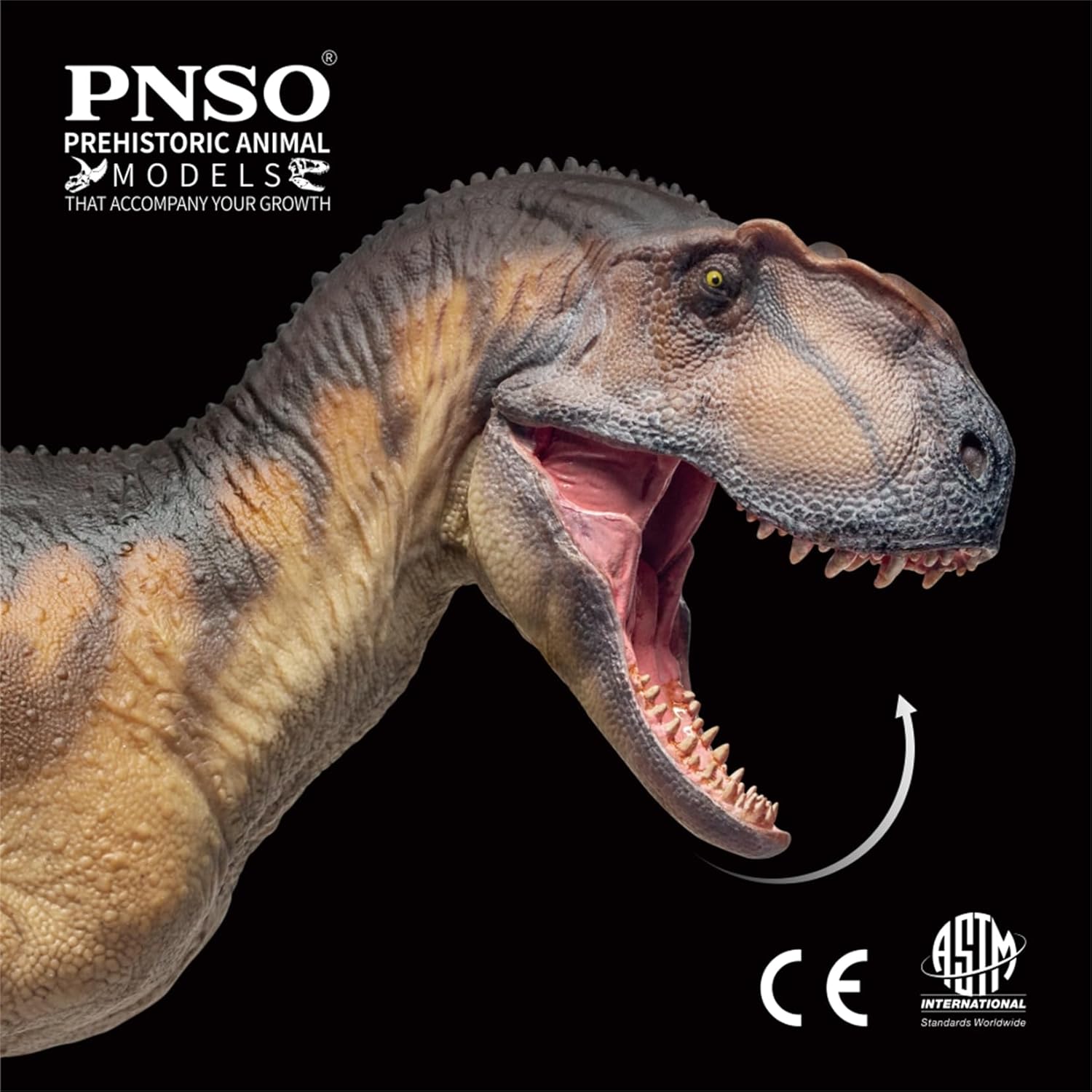 76 Yangchuanosaurus Magnus Dapeng Model Allosauroidea PVC Animal Figure Dinosaur Decor Gift