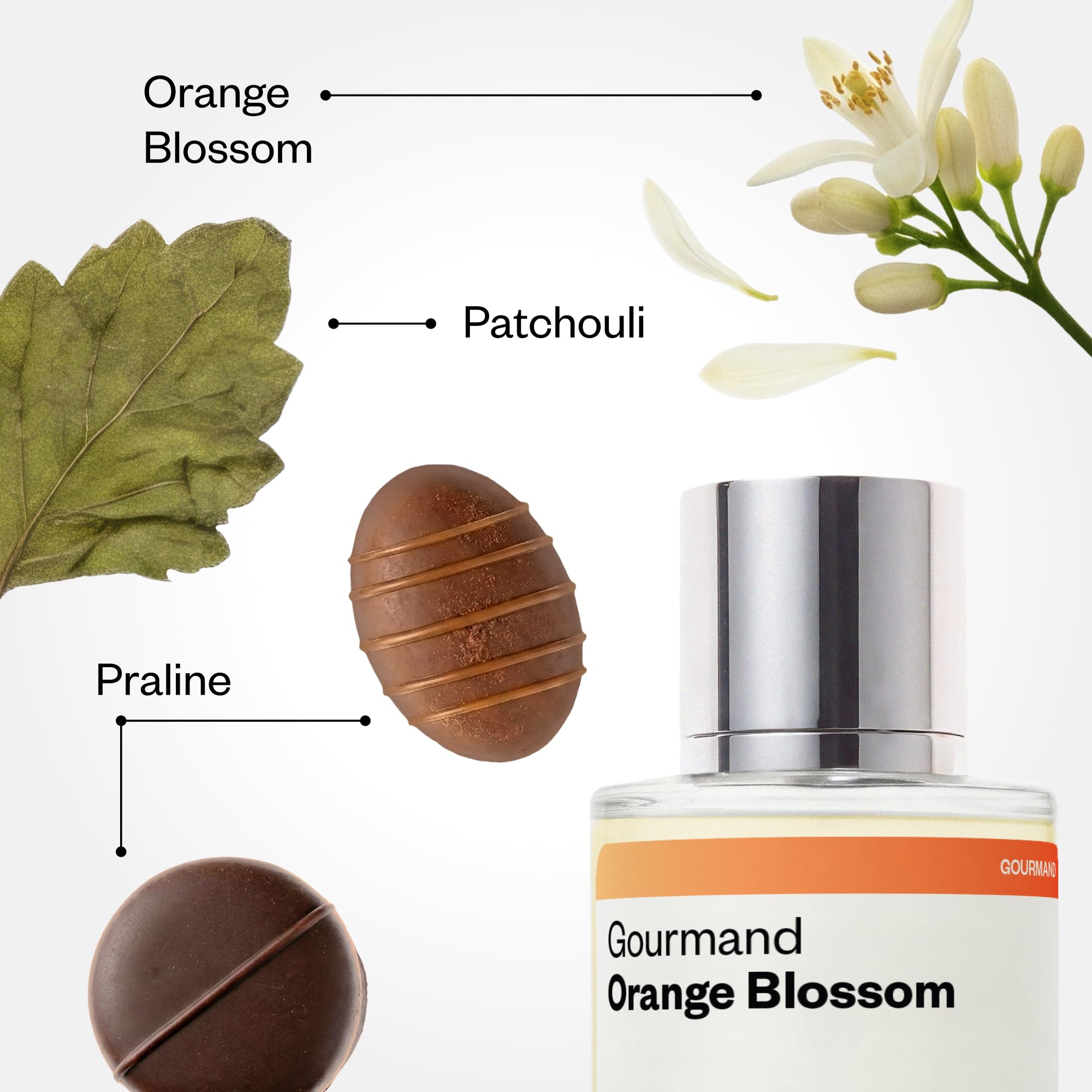 Amazon.com : Dossier - Gourmand Orange Blossom - Eau de Parfum