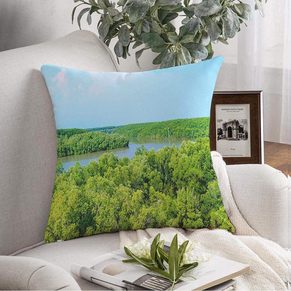 Pillow Case Sunlight Mangrove Forest Beautiful Can Gio Foliage Natural Vietnam Stability Nature Tropical Relax Decorative Pillow Cover Throw Pillows Cover for Sofa Bench Couch 18x18 Inch