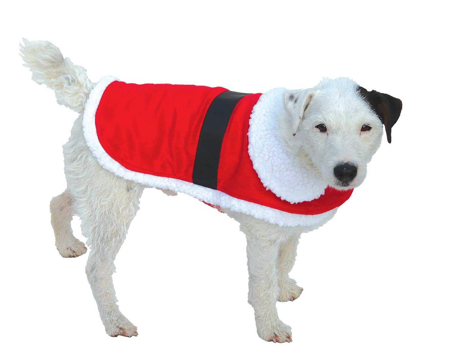 GoodBoy Small Santa Dog Coat
