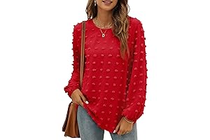 Dressy Chiffon Blouses for Women