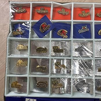 プロ野球 ピンバッジ 大量セット Amazon.co.jp: レトロ 野球バッチ大当 ピンバッジ プロ野球 球団 全