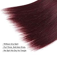 Vista 6 de REMY - Manojos de cabello humano lacio, color rojo 99j, color borgoña, 22 pulgadas, cabello humano virgen brasileño sin procesar, 1 paquete