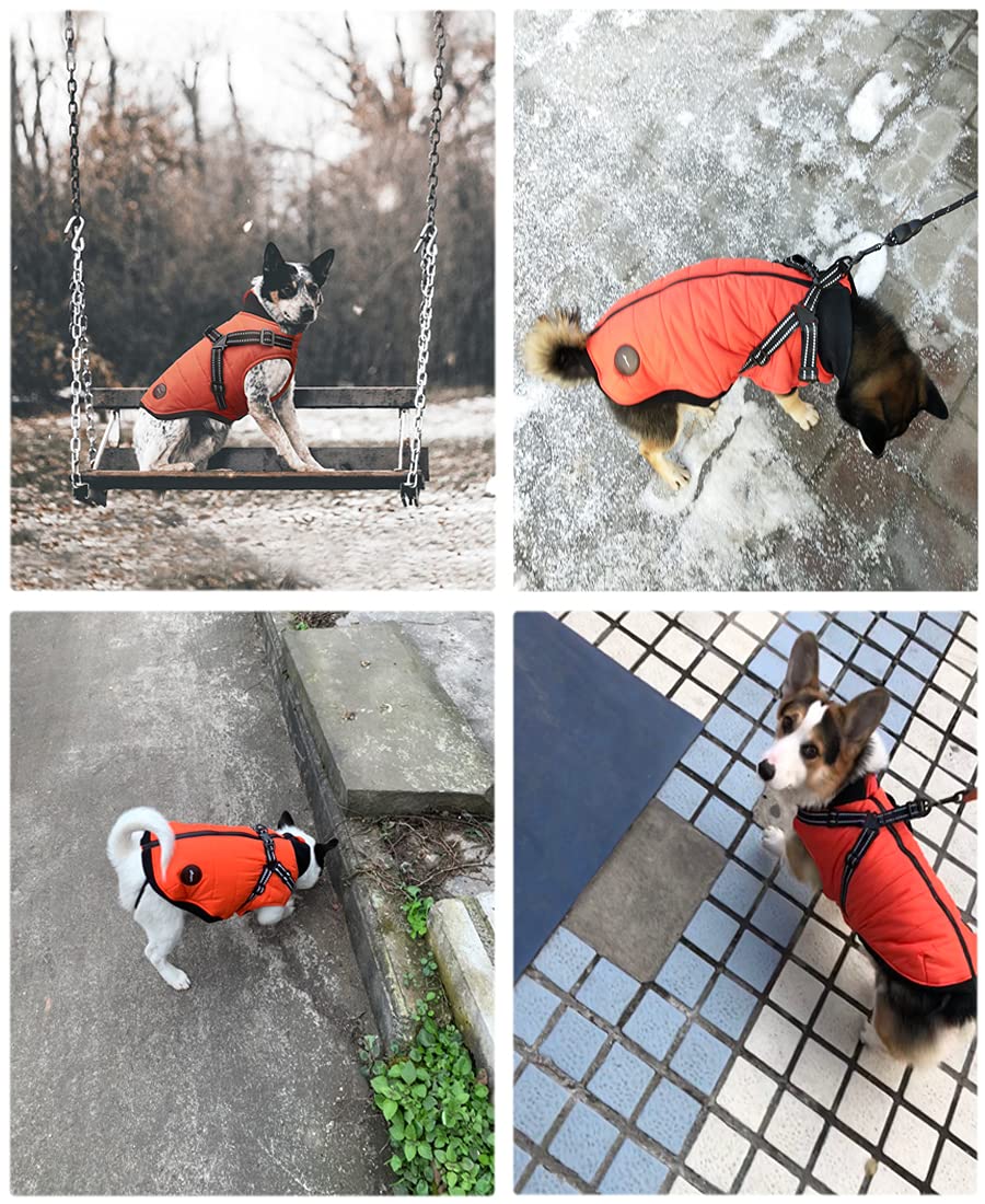 Amazon | ASMPET 犬 服 秋冬 小型犬 防寒着 ペット服 犬服 防水 防雪