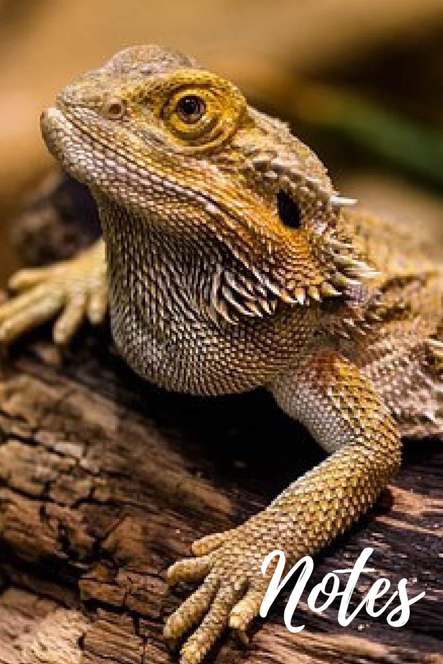 Bearded Dragon Notebook: unique bearded dragons gift for animal and reptile lovers (blank lined journal) great for writing notes and ideas for home ... book (120 pages) pet lizard notepad