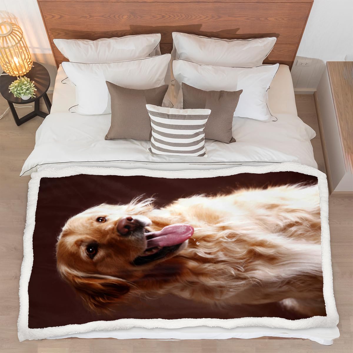 Il Golden Retriever, Mette Sul Pavimento Per Mangiare Il Cibo Per Cani Fotografia Stock