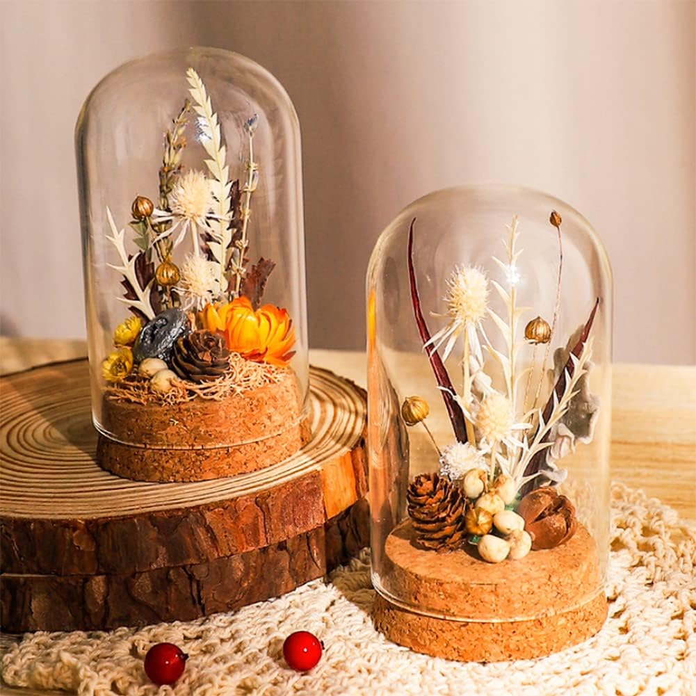 BENECREAT 20 Pack Glass Cloche with Cork Base, 2.4x1.2 inch Display Dome Jars for Wedding Centerpieces, Fairy Gardens, Mini Cake Covers, Party & Home Decor