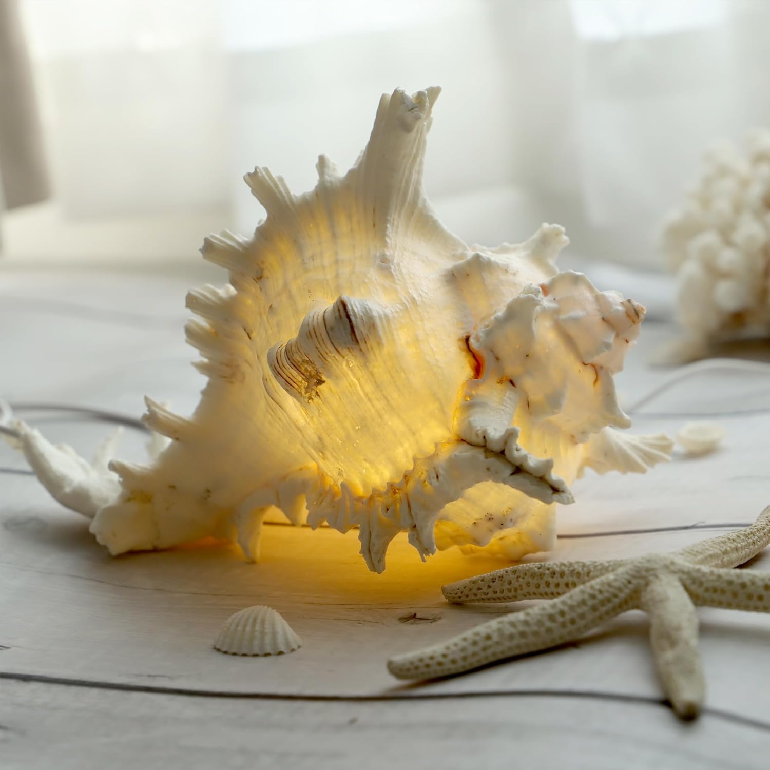 MIYA LIFE Magic Conch Shell Lamp – LED Lighted Real Conch Shell Night Light (7.2''-8.0'') USB/Battery-Powered Seashell Lamp for Bedroom Beach Decor (White, Large)