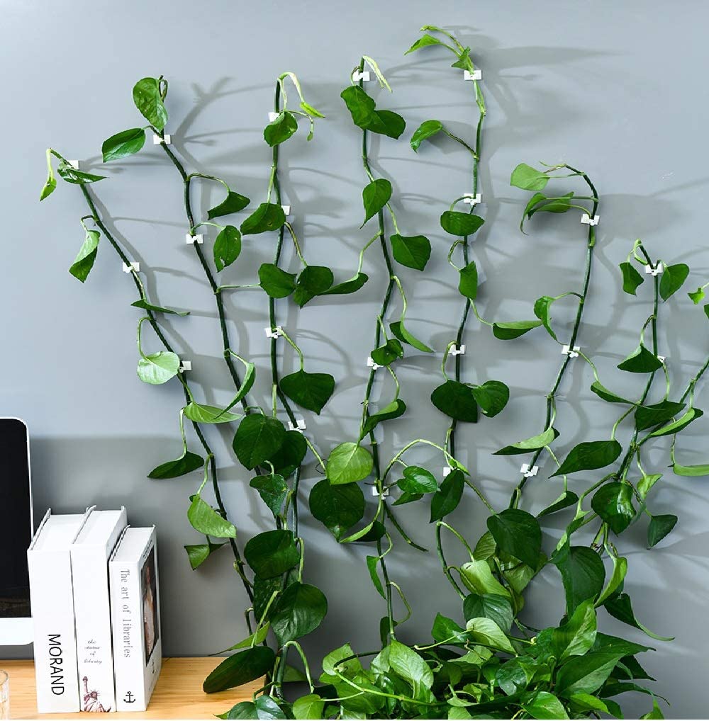 Wall Vines Fixture Wall Sticky Self-Adhesive Hook | Indoor Cable Tie Clip (90) — Amazon image 3