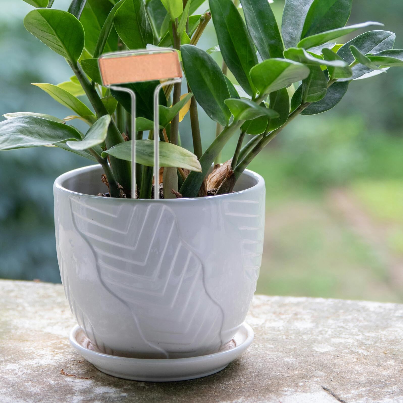 25 Stück Pflanzenidentifikationsetiketten Gartenmarkierungen für Pflanzen Etiketten für Gartenpflanzen Metall -Boden -Tag Gemüsegartenmarkierungen Silver