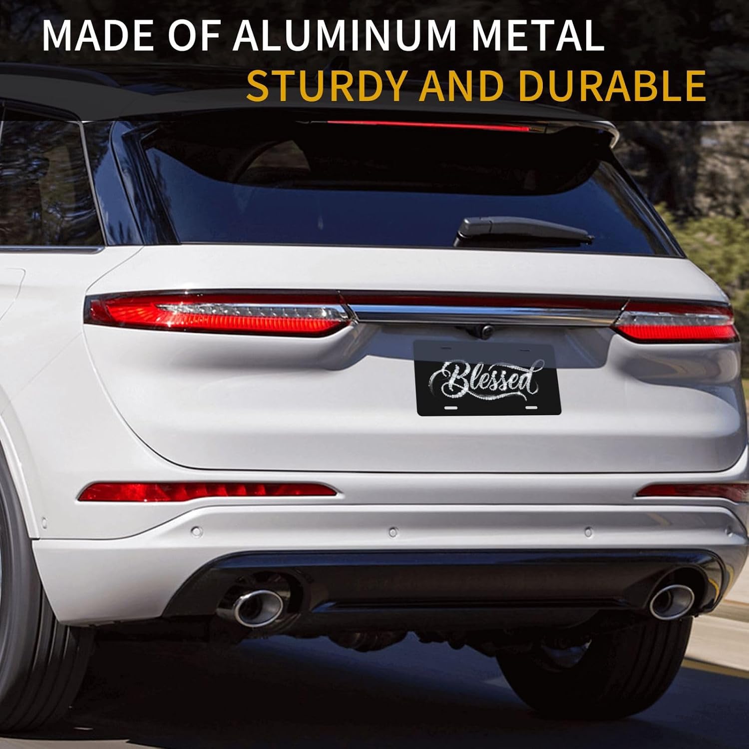 Diamond Blessed License Plate - 6x12 Inch Aluminum Novelty Decorative Vanity Metal Front Car Plate for Women Men