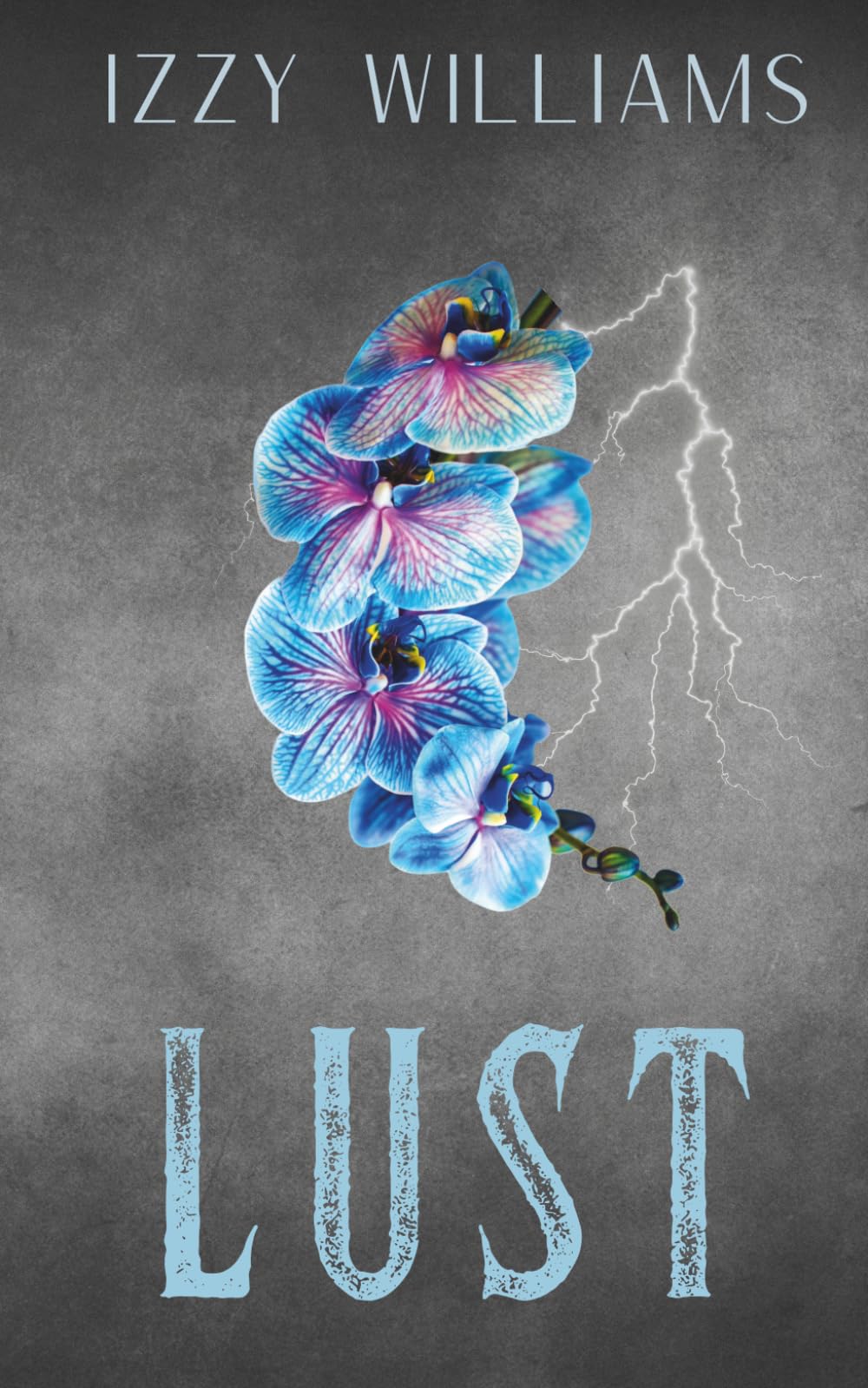 Lust: A Forced Proximity Romantic Suspense (The Sinners Brotherhood)