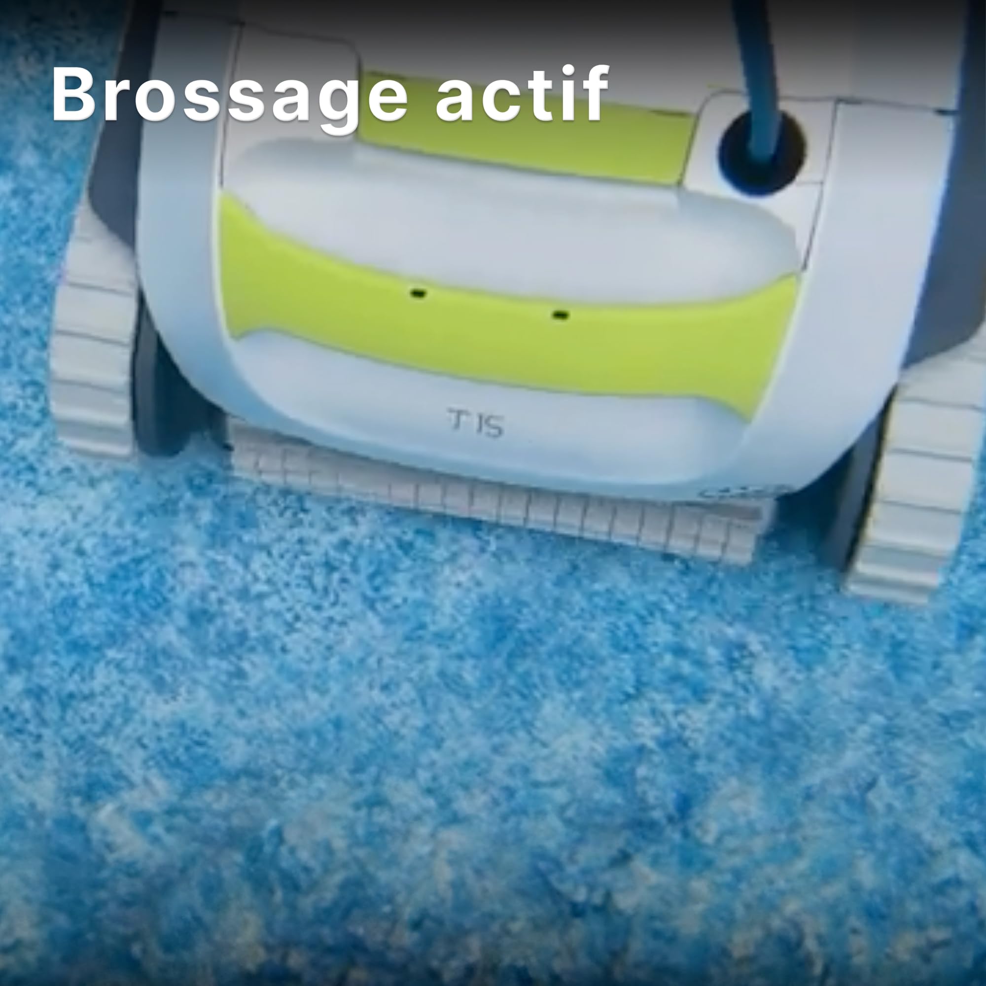 Dolphin T15 Robot Nettoyeur électrique avec Fil pour Piscines Hors-Sol jusqu'à 8 mètres de Longueur - Nettoyage du Fond - Économie d'énergie