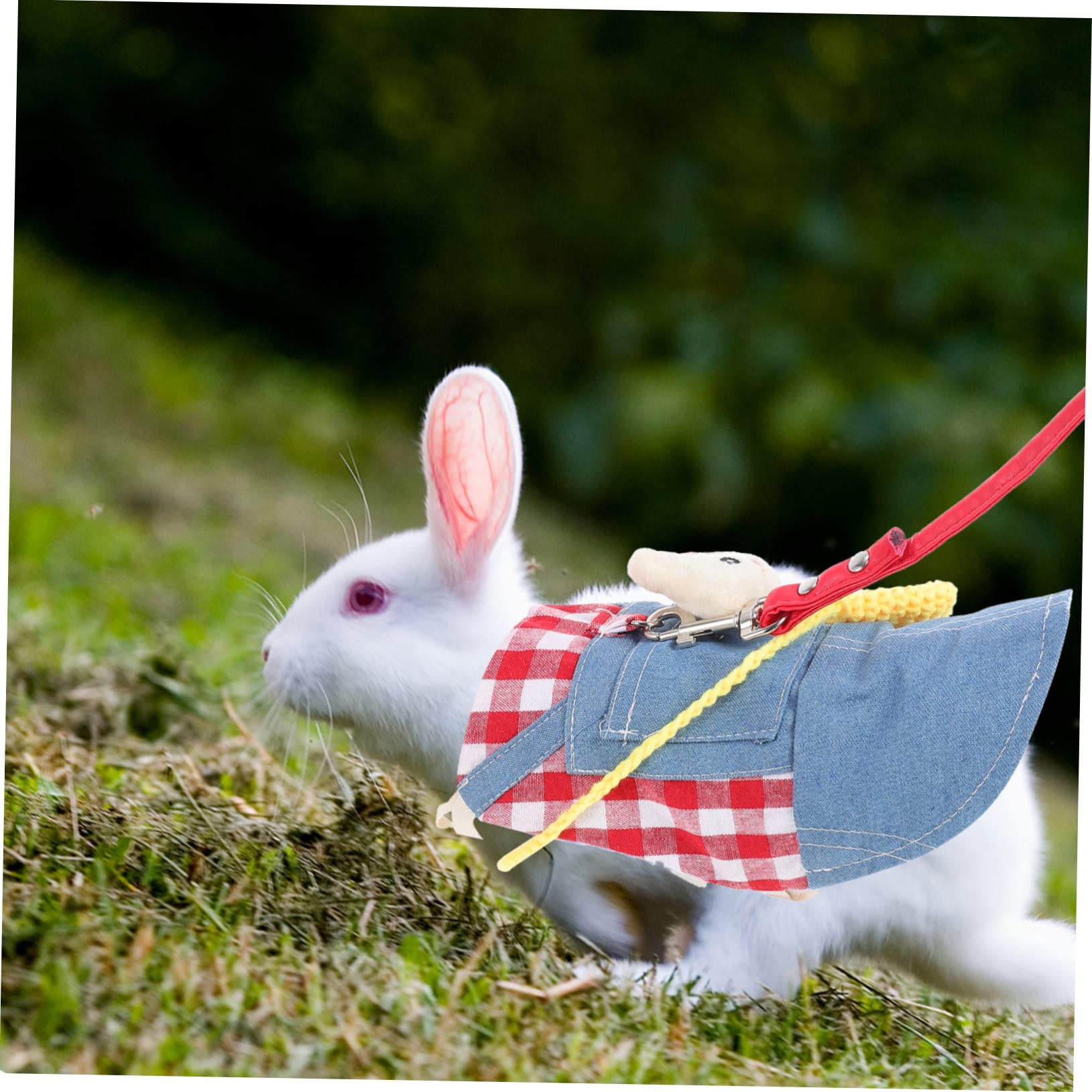 SUPVOX 3 Set Di Vestiti Del Coniglio Coniglio Finimenti E Guinzaglio A Piedi Maglia Corda Guinzaglio Bunny Cablaggio Kit Furetto A Piedi Maglia Coniglietto Della