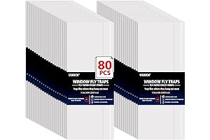 Window Fly Traps for Indoors: Protect Your Home from Pests