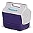 Igloo 4 Qt Playmate Mini Hardsided Lunch Box Cooler, Purple