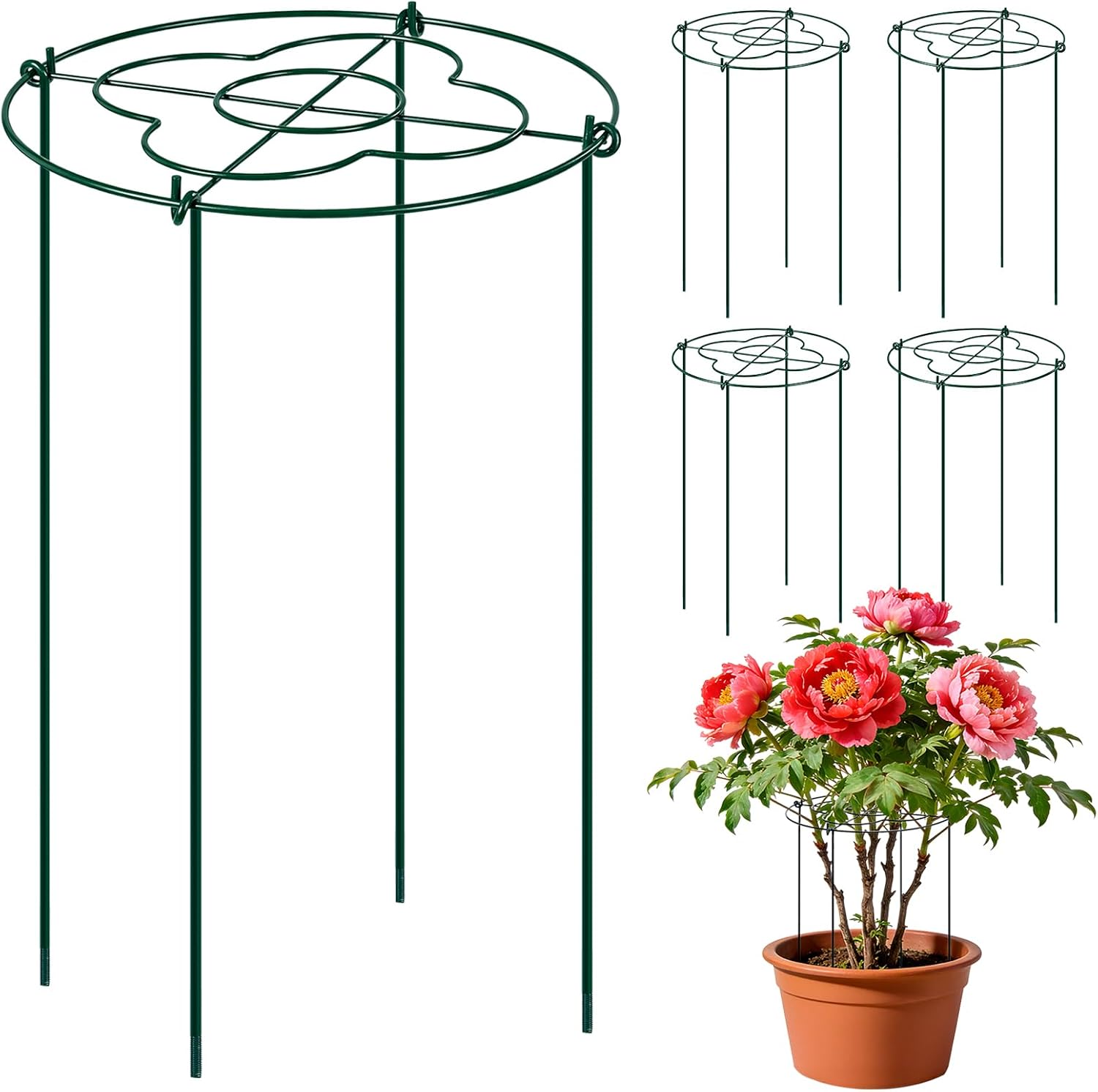 4 Pack Peony Cages and Supports, Grow Through Flower and Plant Supports, 13" Dia x 31.5" High Metal Peony Rings Hoops with Stake, Peony Support Cage for Dahlia, Rose Bush, Hydrangeas, Peonies, Tomato