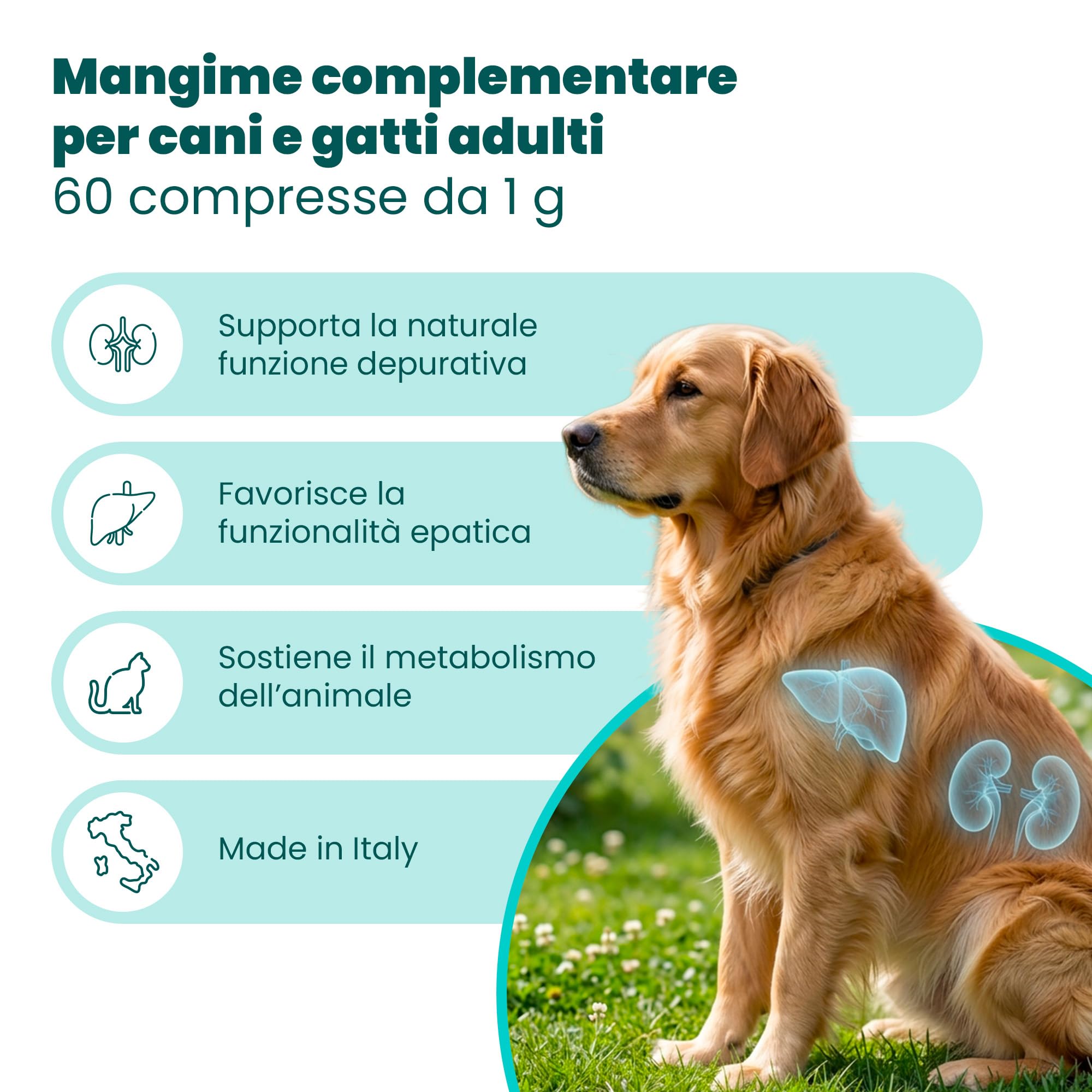 CAMON | Detoxivet Ergänzungsfuttermittel für Hunde und Katzen, entschlackende und entgiftende Wirkung, reguliert die Darm- und Nierenfunktion, 60 Tabletten à 1 g