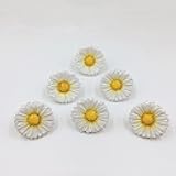 Amyoxu Daisy Vintage Resin Hand Painted Drawer Pulls Cabinet Knobs Handles Country Kitchen Home Decoration White (Pack of 6)