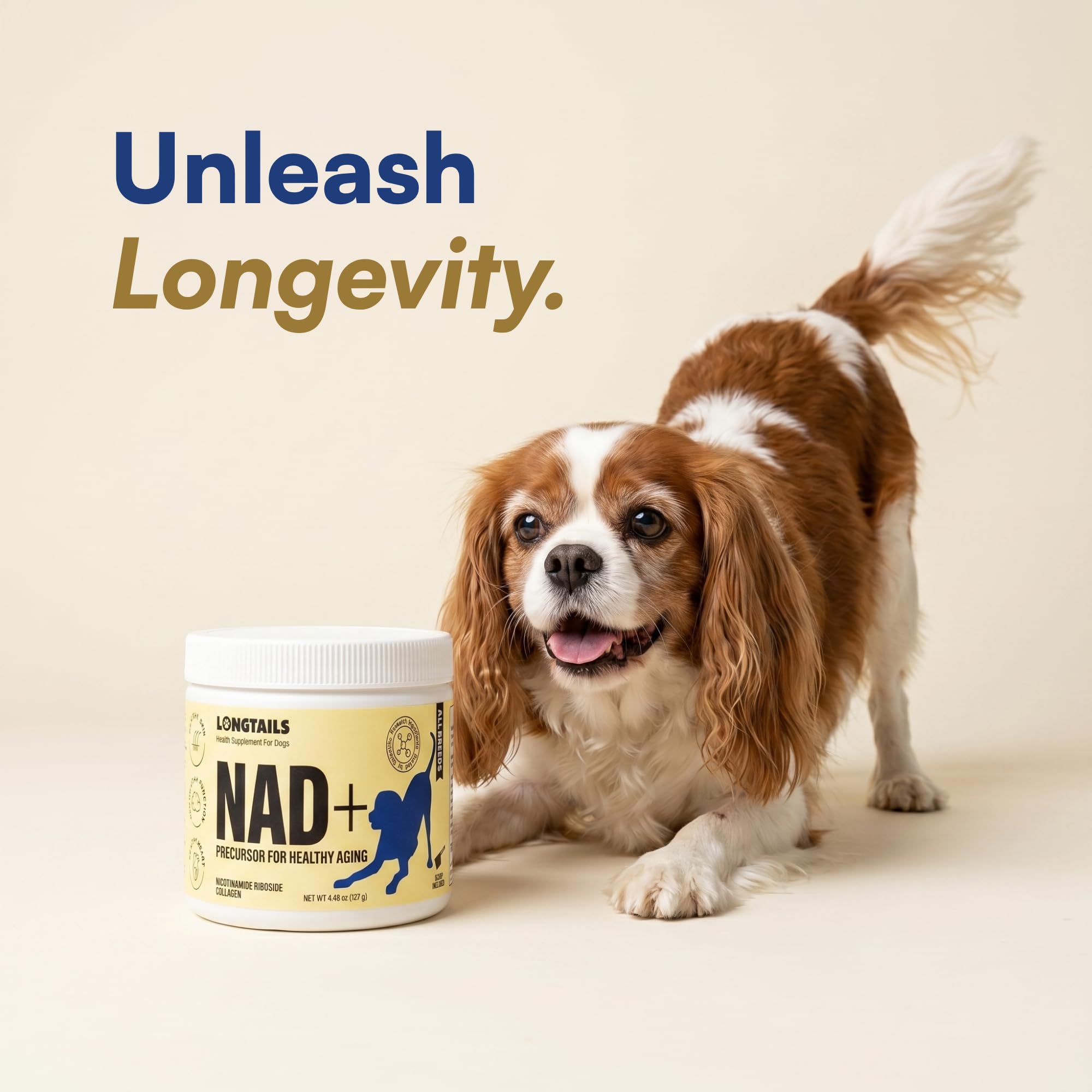 NAD+ Senior Dog Supplement - NMN Alternative, 200mg NR Powder — Amazon image 9
