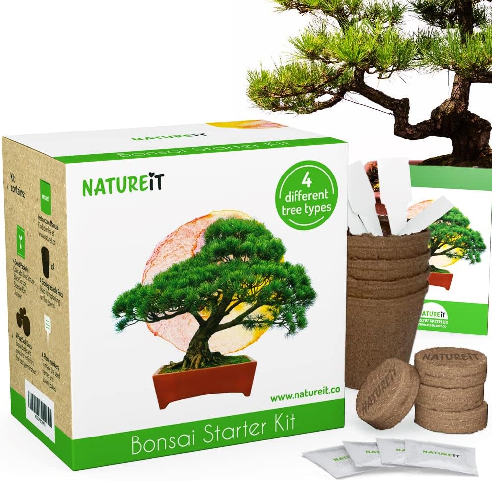 Natureit Bonsai Tree Starter Kit Grow 4 Bonsai Trees