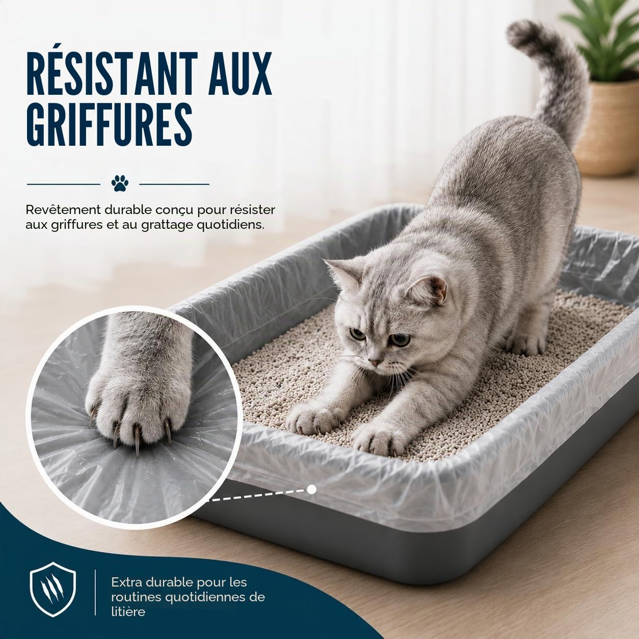 HayaHome Eco 50 grands sacs de litière pour chat en rouleau 40 μm 80 x 36 cm résistants aux rayures et respectueux de l'environnement 100 % matériaux recyclés