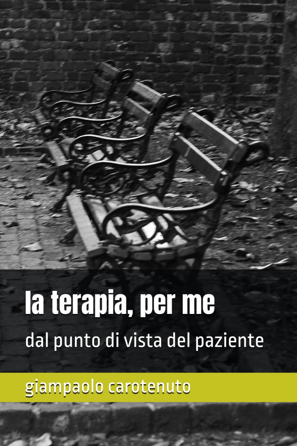 la terapia, per me: dal punto di vista del paziente