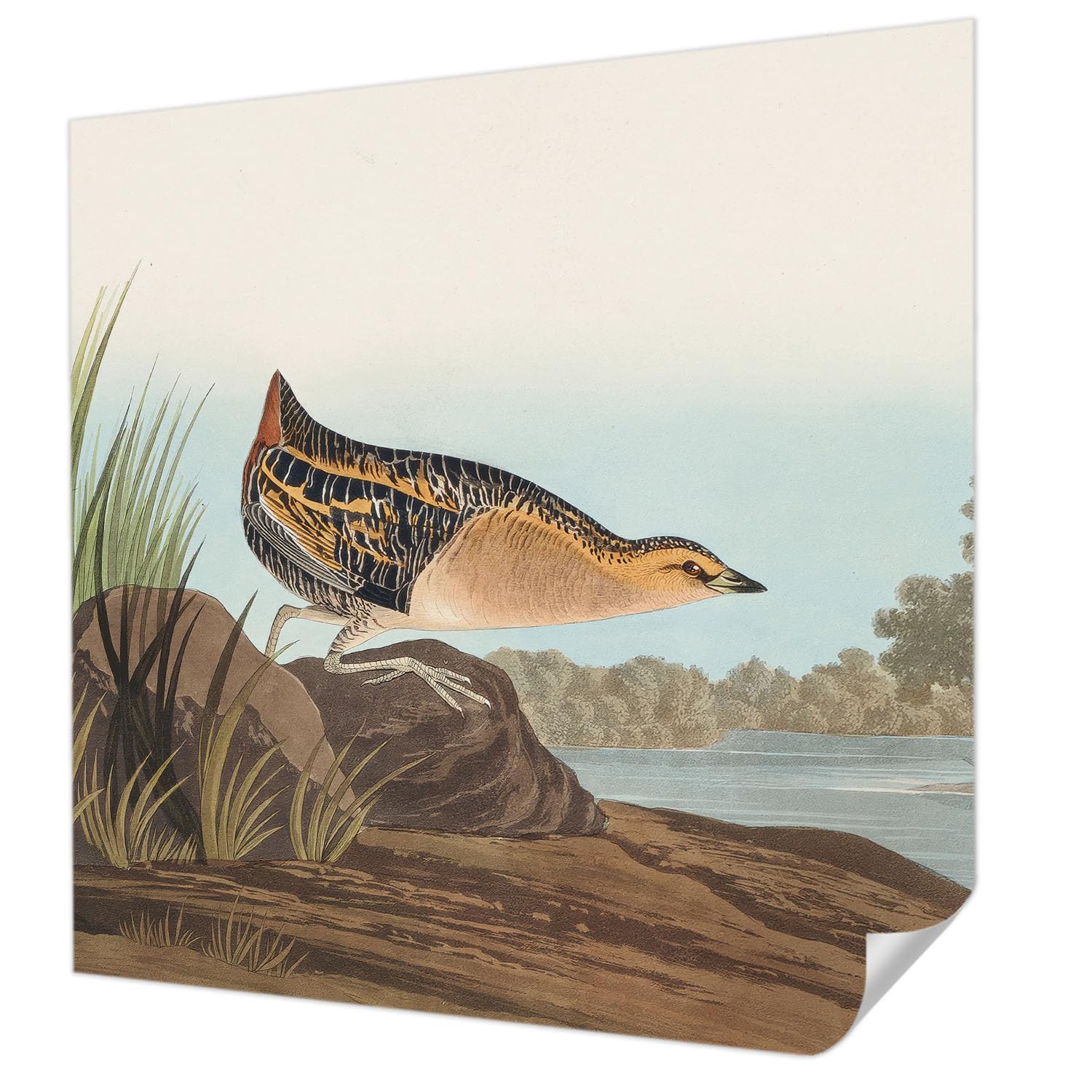 Revêtement mural autocollant scène naturelle pour la décoration de la chambre ou du salon