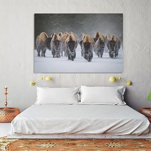 Miniatura 5 de Especies en peligro de extinción Invierno Guerrero Búfalo Bisonte En Nieve Naturaleza Invierno Manada De Ganado Vida Silvestre Estética Carteles
