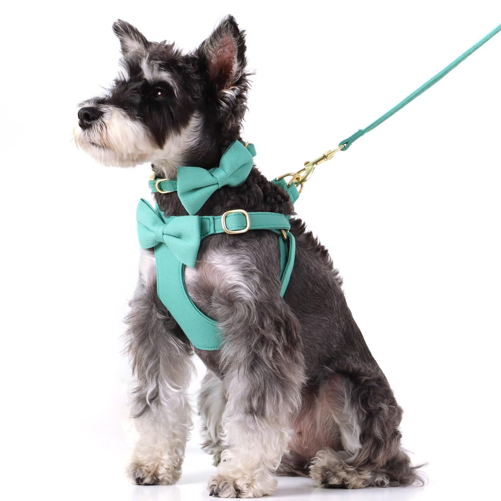 Beirui Niedliches Hundegeschirr für kleine Hunde mit DREI abnehmbaren Schleifen, verstellbares Hundegeschirr, Halsband und Leine mit sicherer Metallschnalle für den täglichen Spaziergang, Partys und