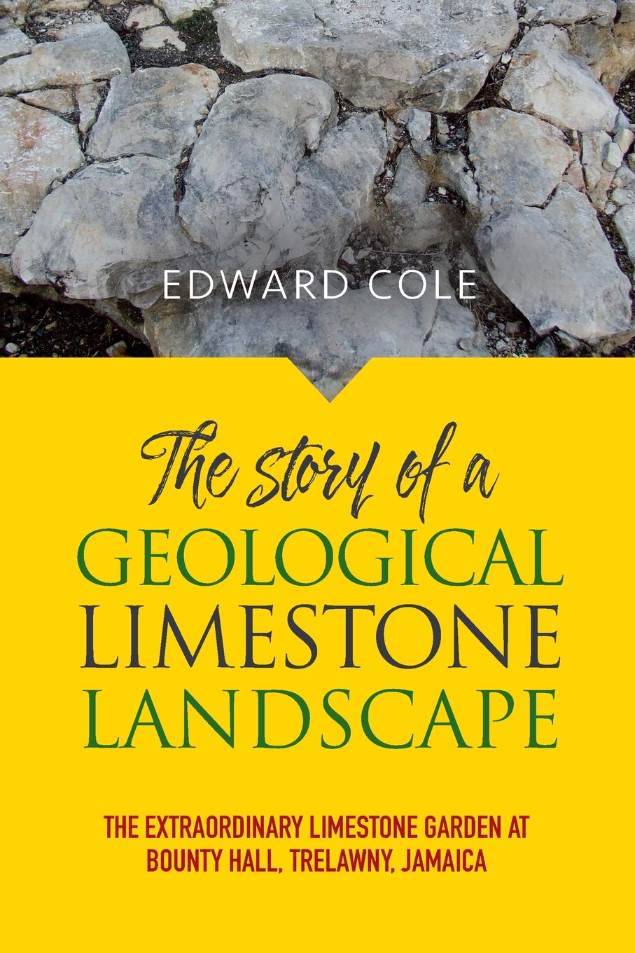 Buy The Story of a Geological Limestone Landscape The Extraordinary