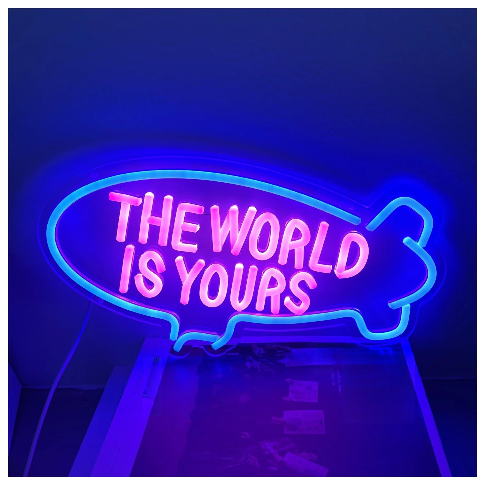 SHOUXI Sign Lamp The World is Yours Neon Sign USB Dimmer for Girls Kids Bedroom Bar Beer Club Shop Wall Art Hanging Decor 42cmх23cm(B)