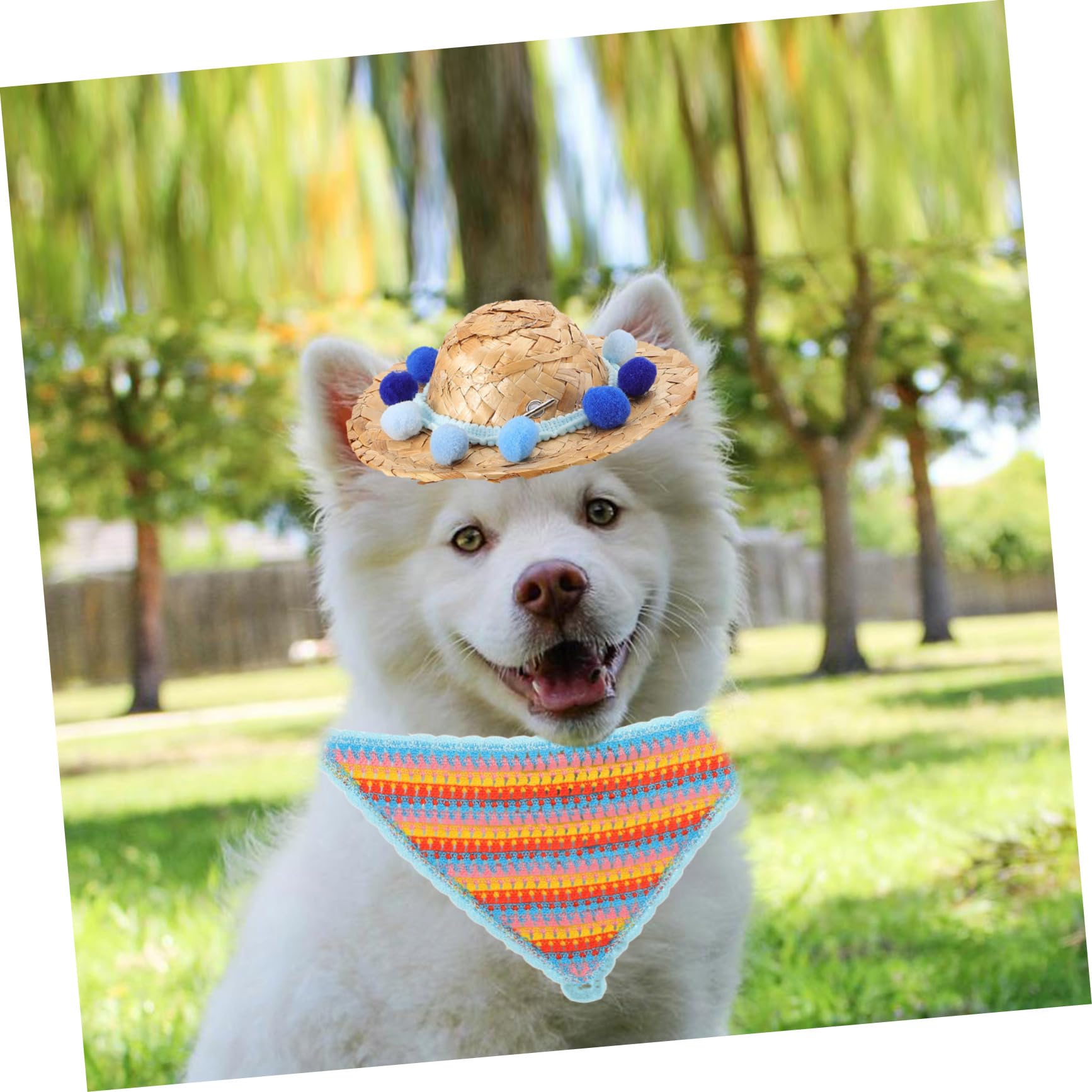 POPETPOP Chapeau pour Chien avec Coiffe Et Bandana Accessoire Photo Élégant pour Fête Danniversaire
