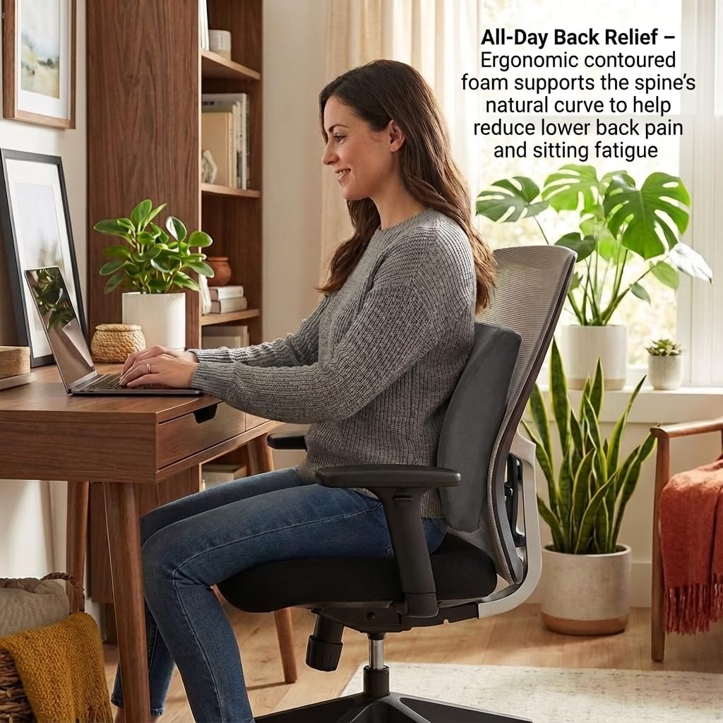 Amazon.com: NOVA Lumbar Back Cushion – Contoured High-Density Foam