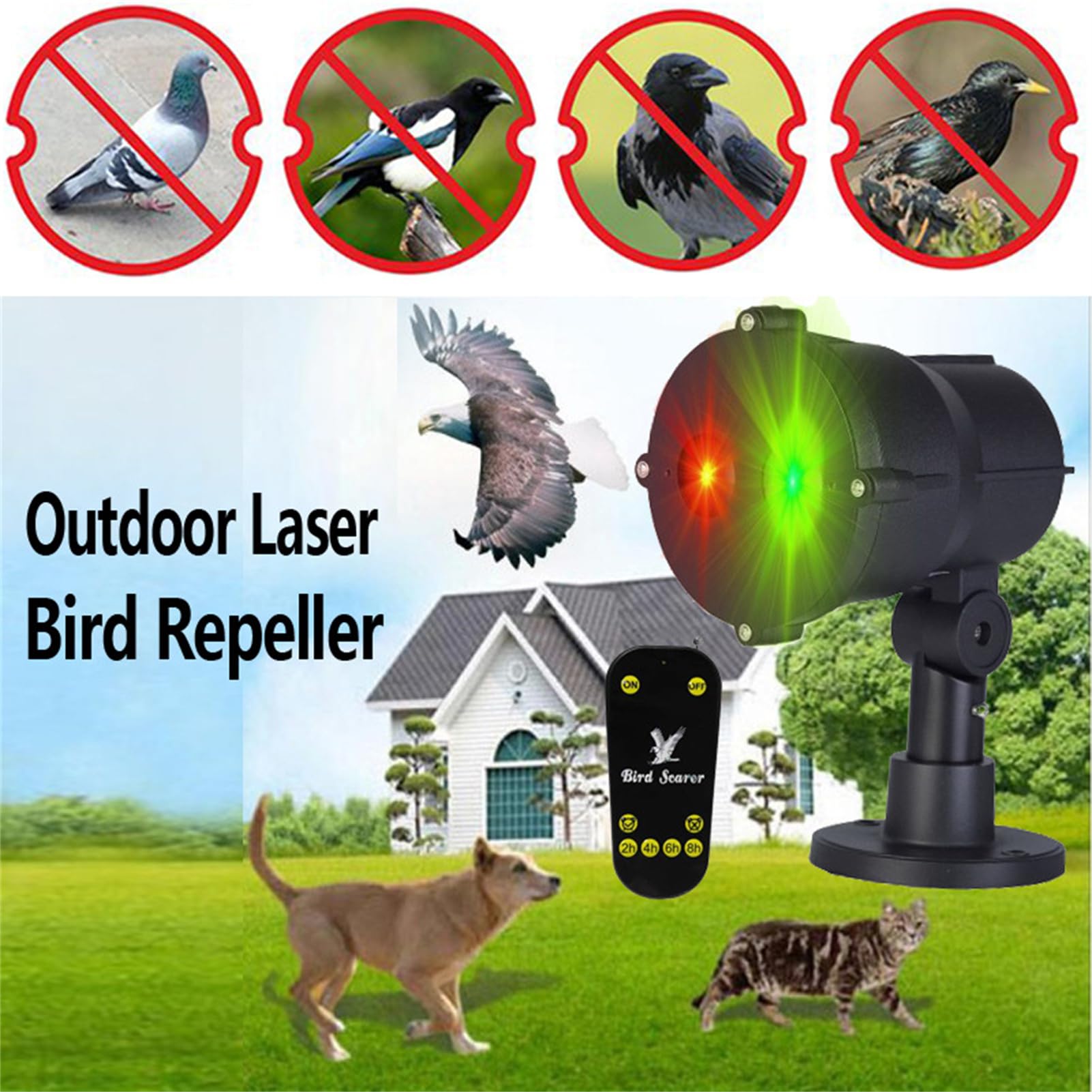 Cacciatore di Uccelli Laser da Esterno con Telecomando Timer per piccioni storni passeri deterrente