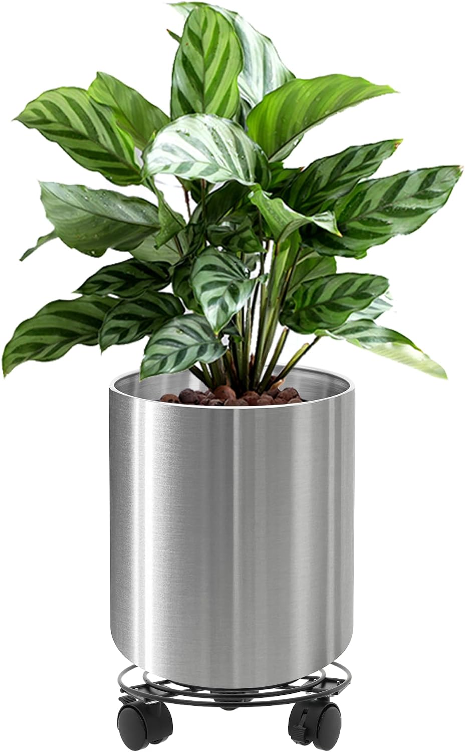 Longrun 25cm Stainless Steel Cylindrical Plants Pot, Large Home Patio Décor Gardening Flower Pot, Includes Tray with Universal Wheels - Curved Border