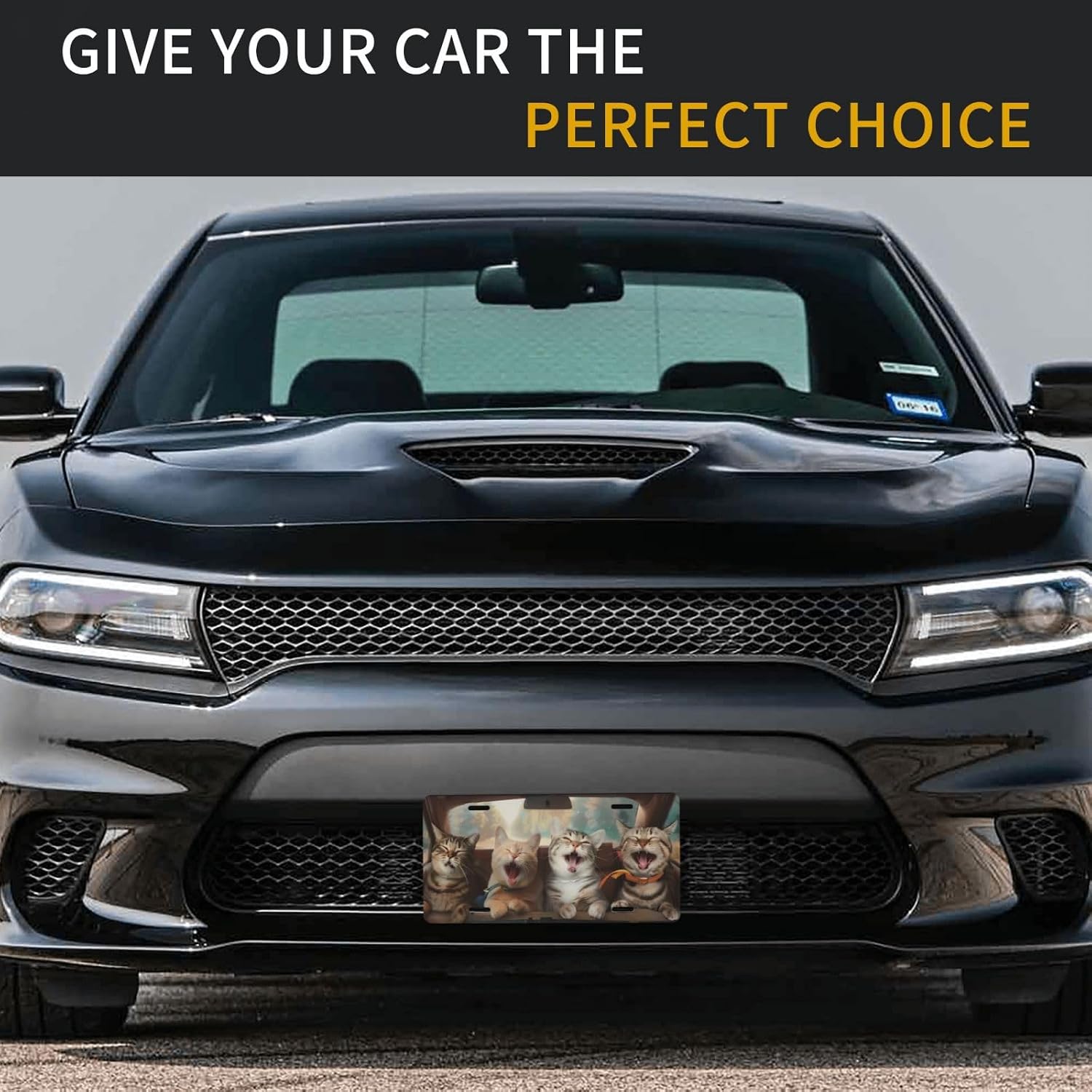 Fun Cat-Themed Decorative License Plate image 5