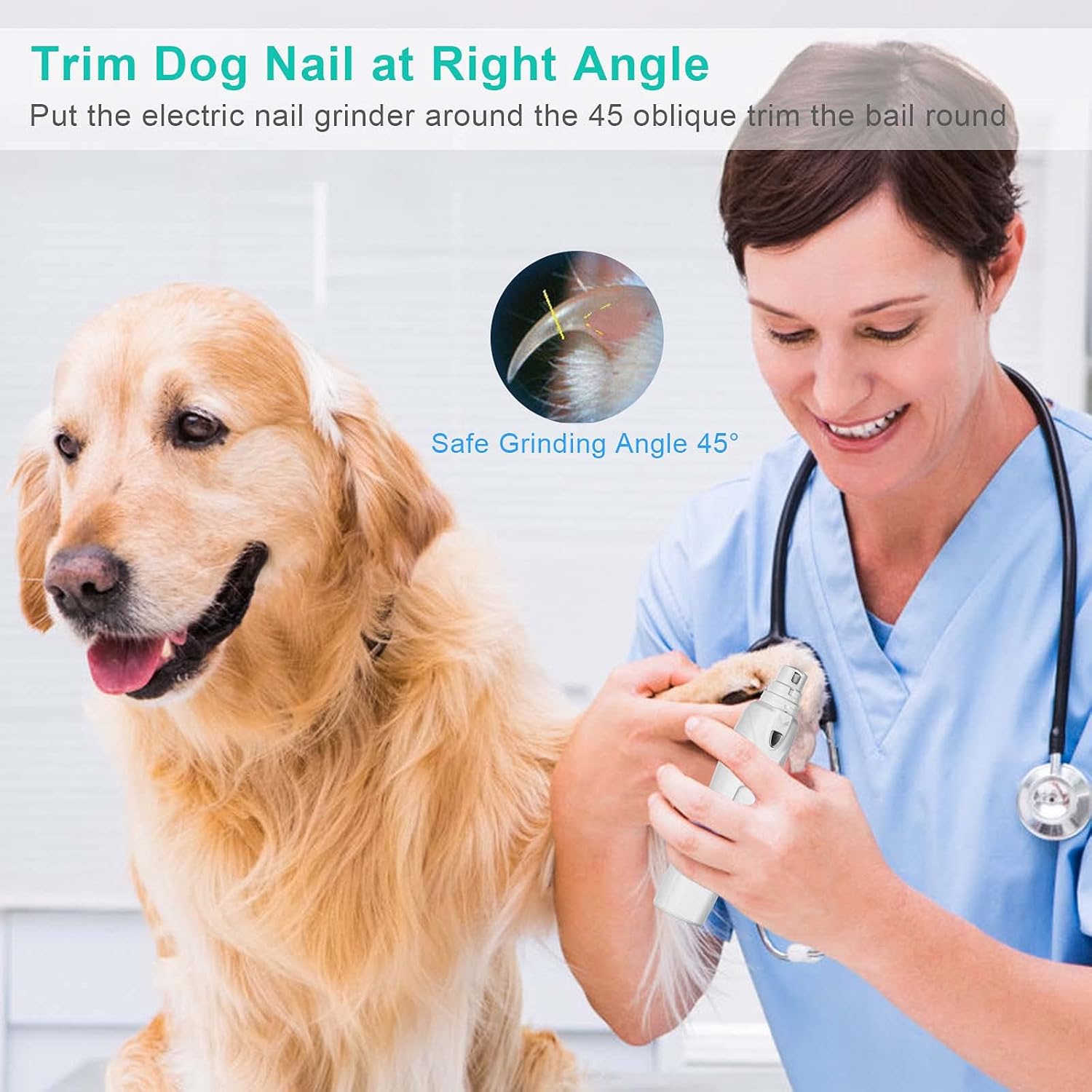Electric Dog Nail Grinder, Upgraded LED 3-Speed Pet Nail Trimmer, Paws Nail File-USB Rechargeable Quiet Three Size Ports for Paws Grooming & Smoothing Claw Care for Small Medium–Large Dogs and Cats