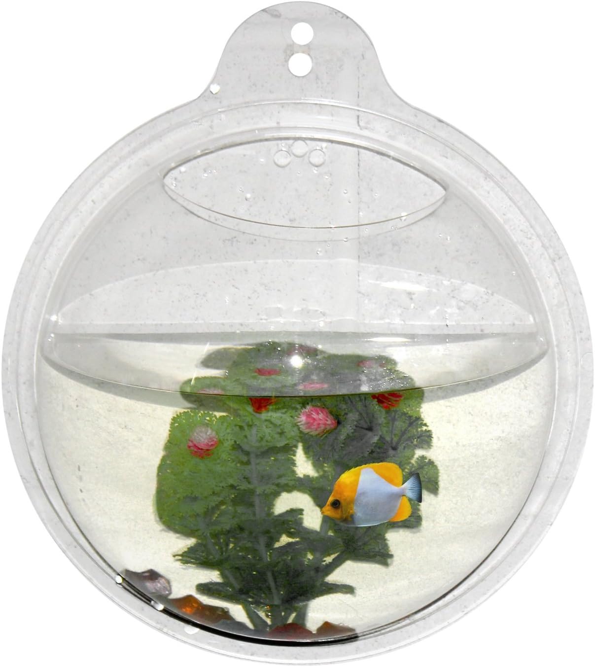 Fish Bubbles - Wall Mounted Acrylic Fish Bowl