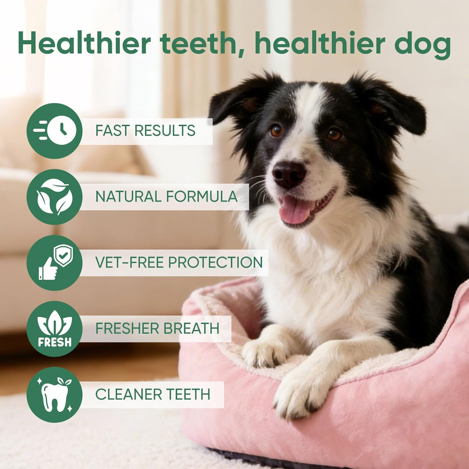 Zahnspray für Hunde und Katzen, Paw-Guardian Dentalspray, entfernt Zahnbelag und Zahnstein ohne Zähneputzen, erfrischt den Atem, unterstützt die Zahnfleischgesundheit,2PCS