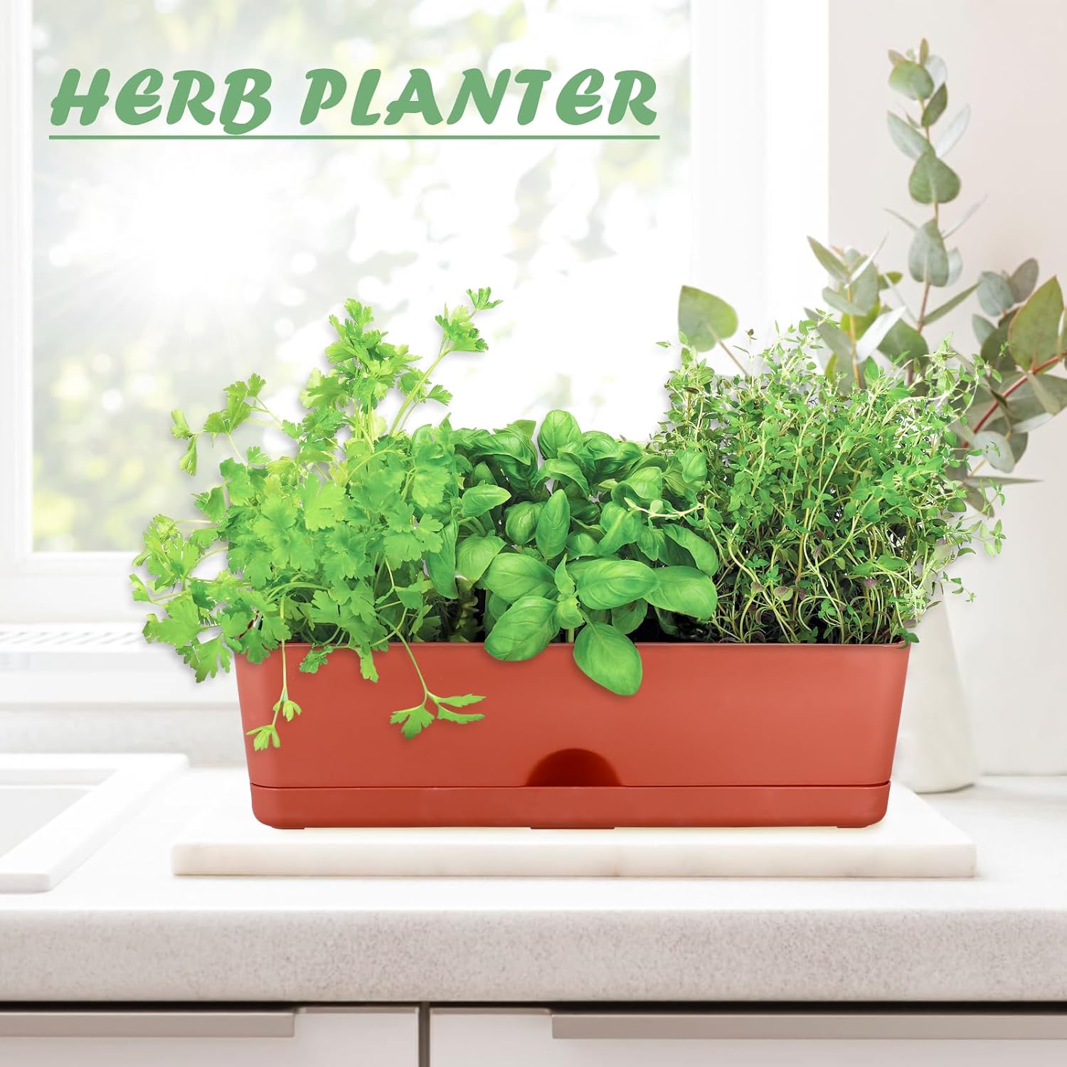 2-Pack Large Window Boxes Planters 16 Inch Rectangle Plant Box Rectangular Plant Pots for Outdoor and Indoor Plants Plastic Windowsill Planters for Herbs Vegetable Flowers Long Window Sill Plant Box