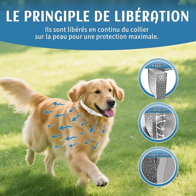 Foto 5 de 7 de 2 Pcs Collar Antipulgas para Perros